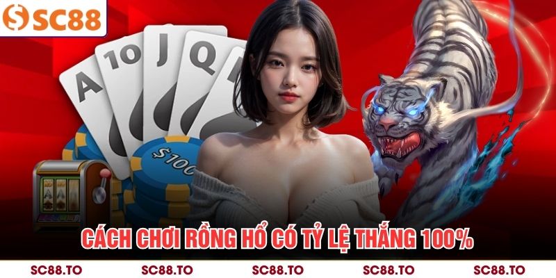 Cách chơi Rồng Hổ có tỷ lệ thắng 100%